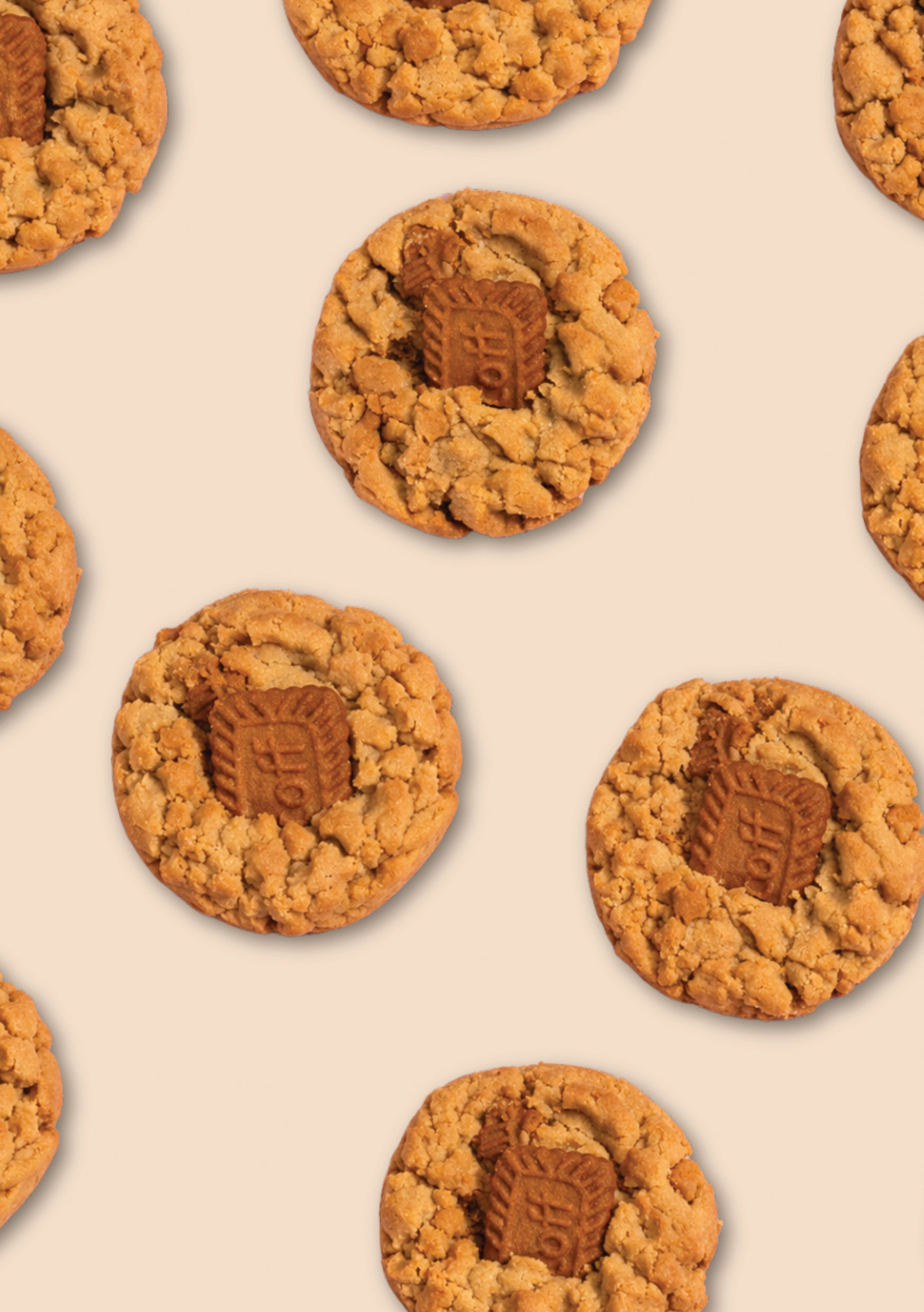 Sticky Biscoff Obsession